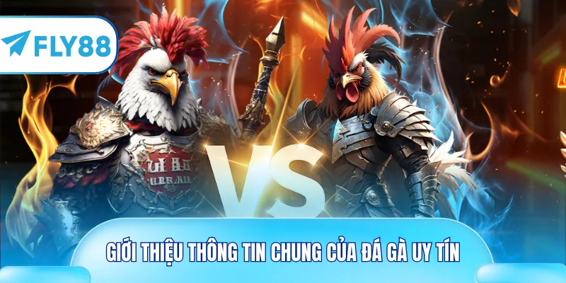 Giới thiệu thông tin chung của đá gà uy tín